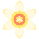 narciso icon