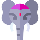 elefante