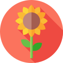 girasol icon