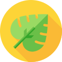 monstruosa icon