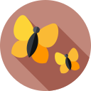 mariposas icon