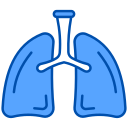 pulmones icon