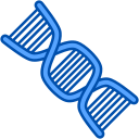 estructura del adn