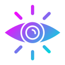 ojo icon