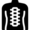 columna vertebral