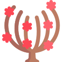 magnolia icon