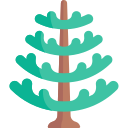 Árbol de araucaria icon