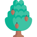 cedro icon