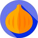 Onion 