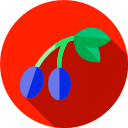 aceituna icon