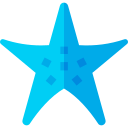 estrella de mar