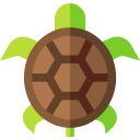 tortuga