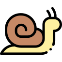 caracol icon