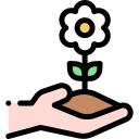 plantación icon