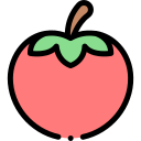 tomate icon