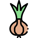 cebolla icon