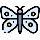 mariposa icon