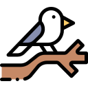 pájaro icon