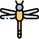 mosca dragón icon