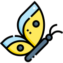 mariposa icon