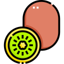 kiwi icon