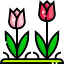 tulipán icon