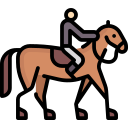 lado de caballo icon