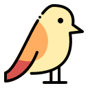 pájaro icon