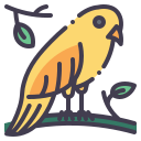 pájaro icon