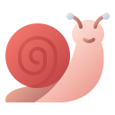 caracol