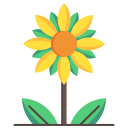 girasol icon