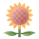 girasol icon