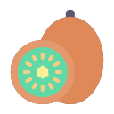 kiwi icon