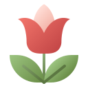 tulipán icon