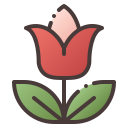 tulipán icon