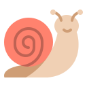 caracol