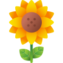 girasol icon