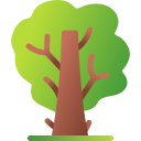 Árbol icon