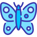 mariposa