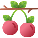 cerezas icon