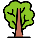 Árbol icon