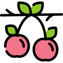 cerezas icon