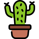 cactus icon