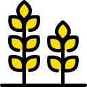 trigo icon