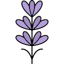 lavanda icon