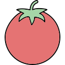 tomate icon