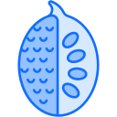 fruta icon