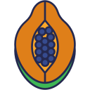 papaya icon