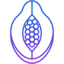 papaya icon