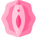 vulva 